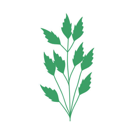 plant icon on white backgroundのイラスト素材