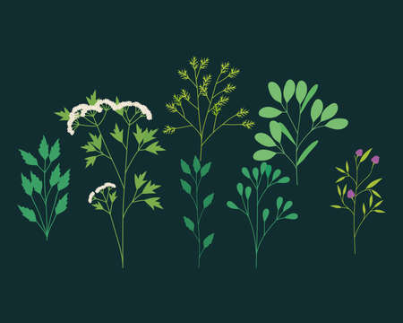 green stems with leaves setのイラスト素材