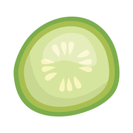 cucumber slice on white backgroundのイラスト素材