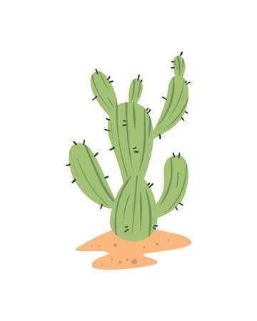 Isolated cactus plantのイラスト素材