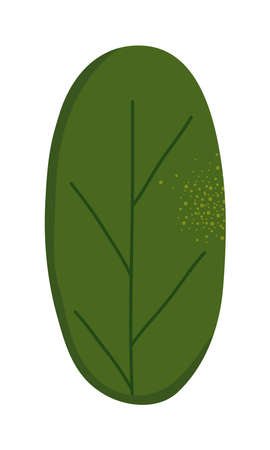 round green leafのイラスト素材