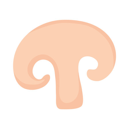 mushroom slice designのイラスト素材