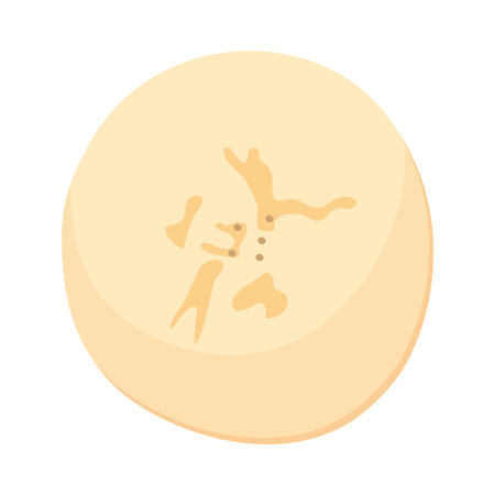 banana slice designのイラスト素材