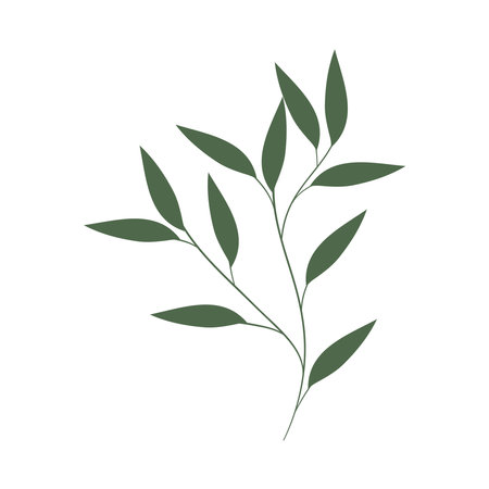 common ash leavesのイラスト素材