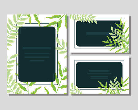 invitation templates designsのイラスト素材