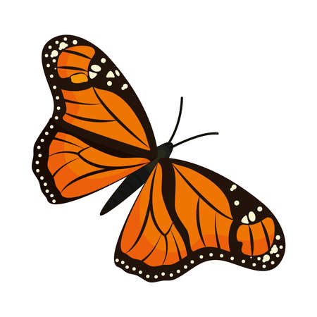 painted lady butterflyのイラスト素材