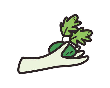 leaves on handのイラスト素材