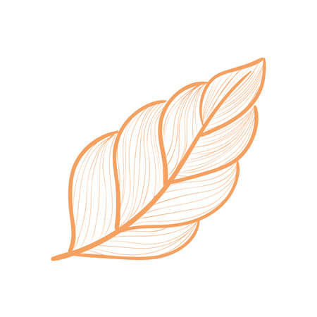orange plant leafのイラスト素材