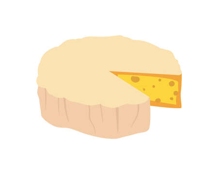 cheese brie typeのイラスト素材