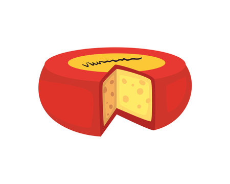 cheese gouda typeのイラスト素材