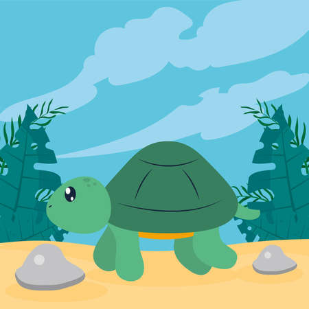 turtle animal characterのイラスト素材