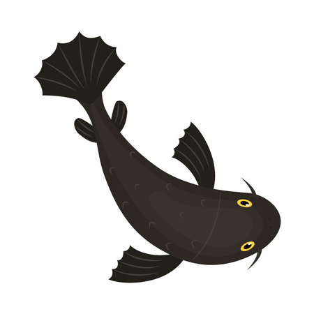 black koi carpのイラスト素材