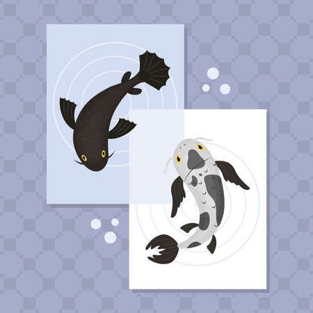 koi carps illustrationのイラスト素材