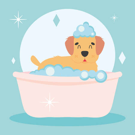 dog in the bathtubのイラスト素材