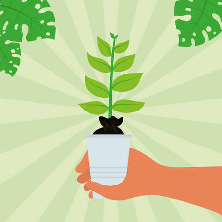 hand lifting houseplantのイラスト素材