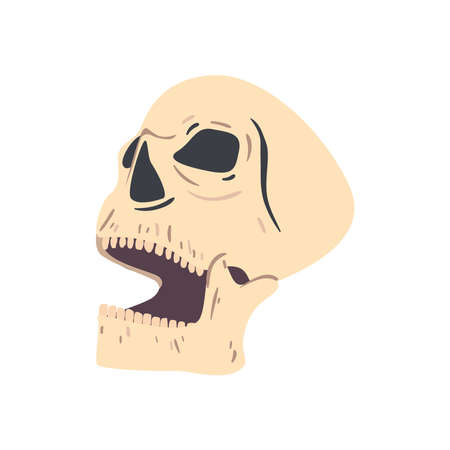 mystic skull esotericのイラスト素材