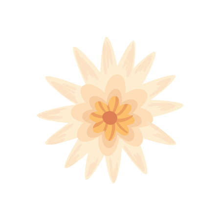 view aerial of lotus plantのイラスト素材