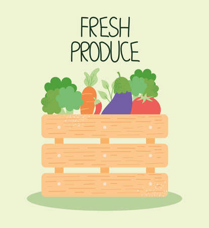 fresh produce illustrationのイラスト素材