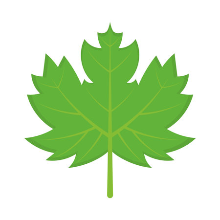 green maple leaf iconのイラスト素材