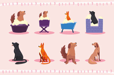 eight dogs bathingのイラスト素材