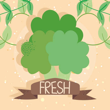 broccoli and ribbon frameのイラスト素材