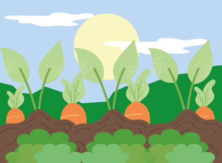 carrots cultive sceneのイラスト素材