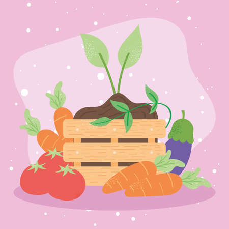 vegetables and plantのイラスト素材