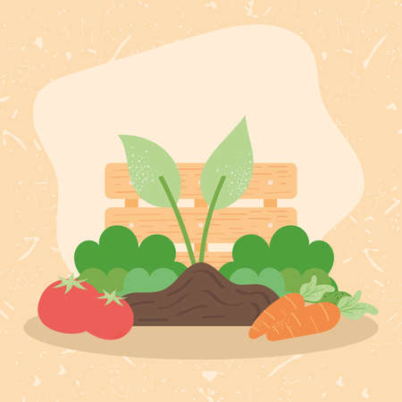 plant and wooden basketのイラスト素材
