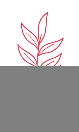 walnut leaves branchのイラスト素材