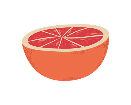 tangerine slice illustrationのイラスト素材