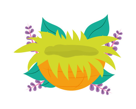 empty dinosaur nestのイラスト素材