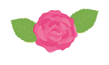 pink rose with flowersのイラスト素材