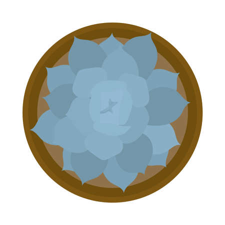 potted succulent plantのイラスト素材