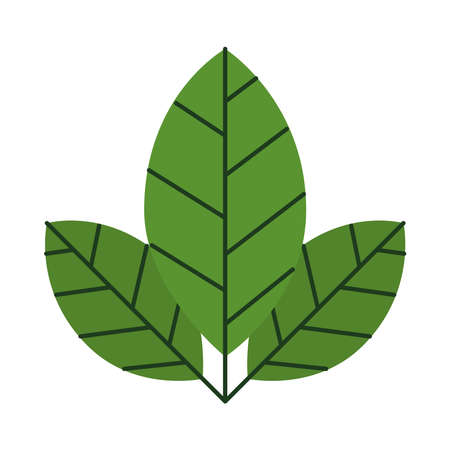 green leaves iconのイラスト素材
