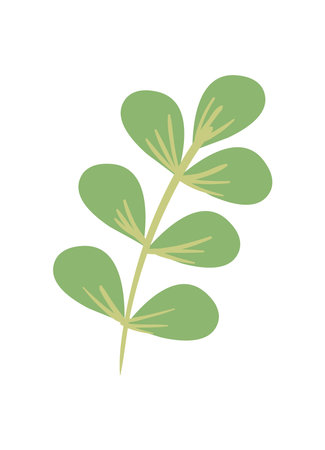 branch with oval leavesのイラスト素材