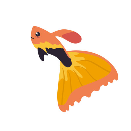 orange and black fishのイラスト素材