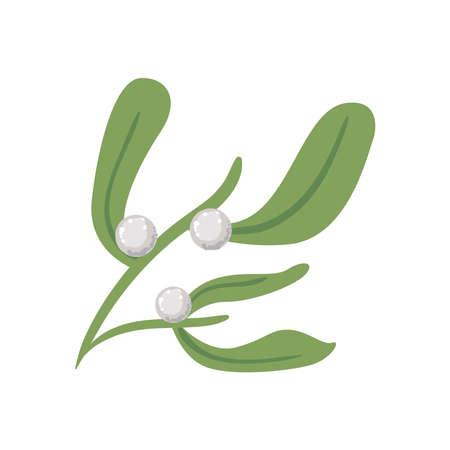 mistletoe with white berriesのイラスト素材