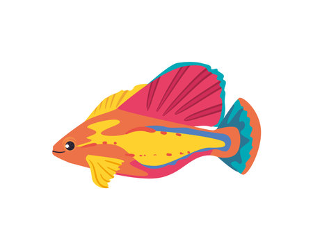 colored fish designのイラスト素材