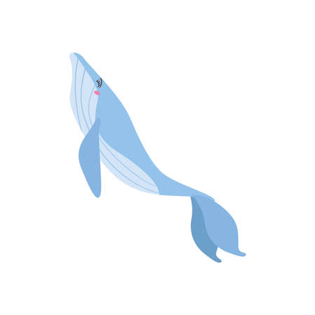 great blue whaleのイラスト素材