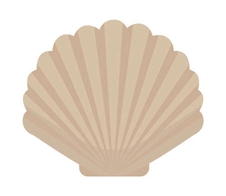 seashell icon imageのイラスト素材