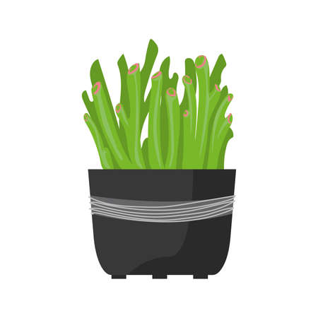 cute plant imageのイラスト素材