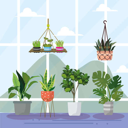 living room plants cardのイラスト素材