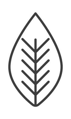 leaf icon imageのイラスト素材