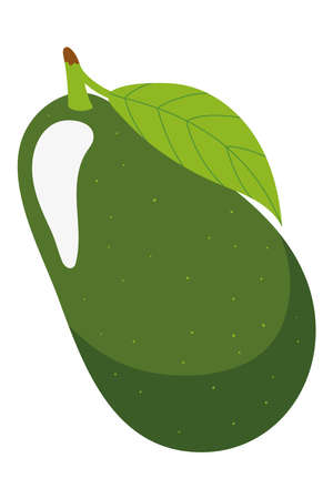 avocado with leafのイラスト素材
