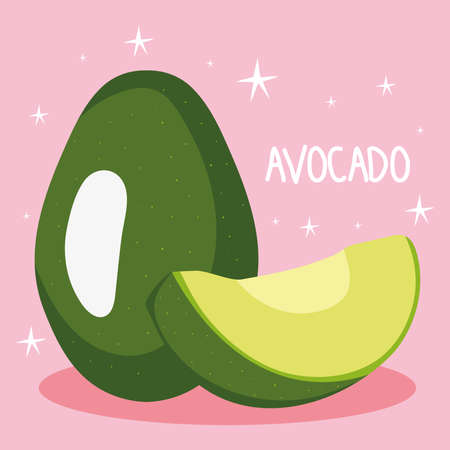 avocado fruit illustrationのイラスト素材