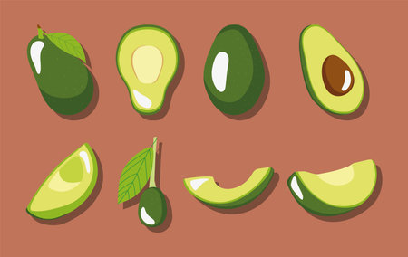 fresh avocados icon set