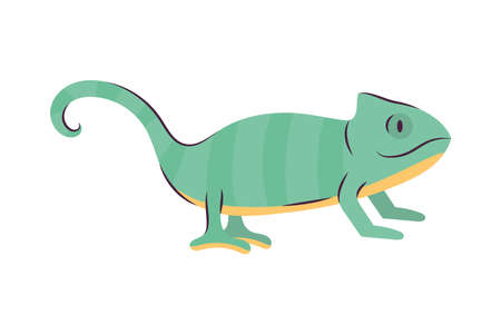 green camaleon designのイラスト素材