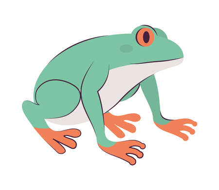 green frog designのイラスト素材