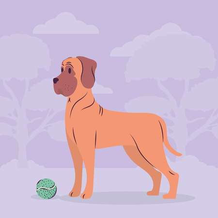 dog with tennis ballのイラスト素材