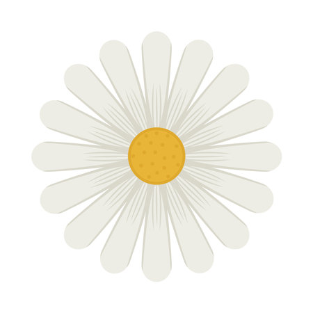 cute daisy designのイラスト素材